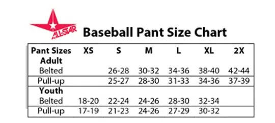 ALL-STAR ADULT Classic Pinstriped Baseball Pants - BSP4A