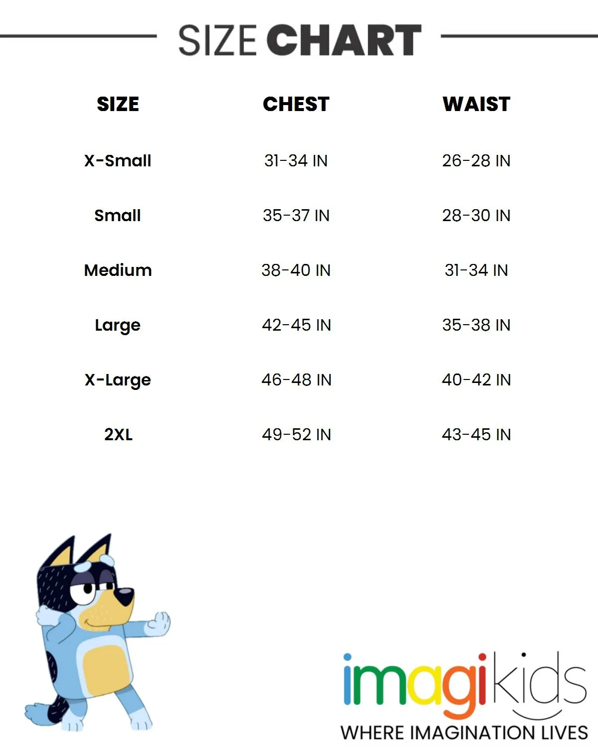Bluey Fleece Matching Family Pullover Hoodie