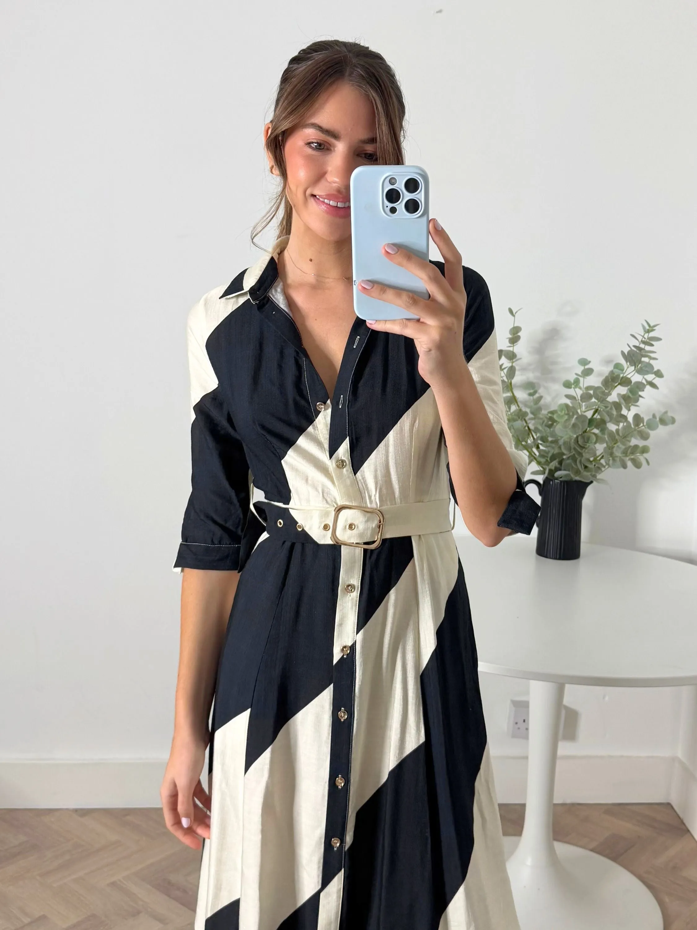 Daphne Belted Shirt Dress / Mono Stripe Work Chic Nature Glow