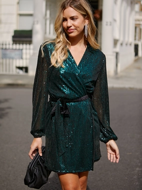 Classic Move Smooth silhouette Dani Sequin Wrap Dress / Emerald Green