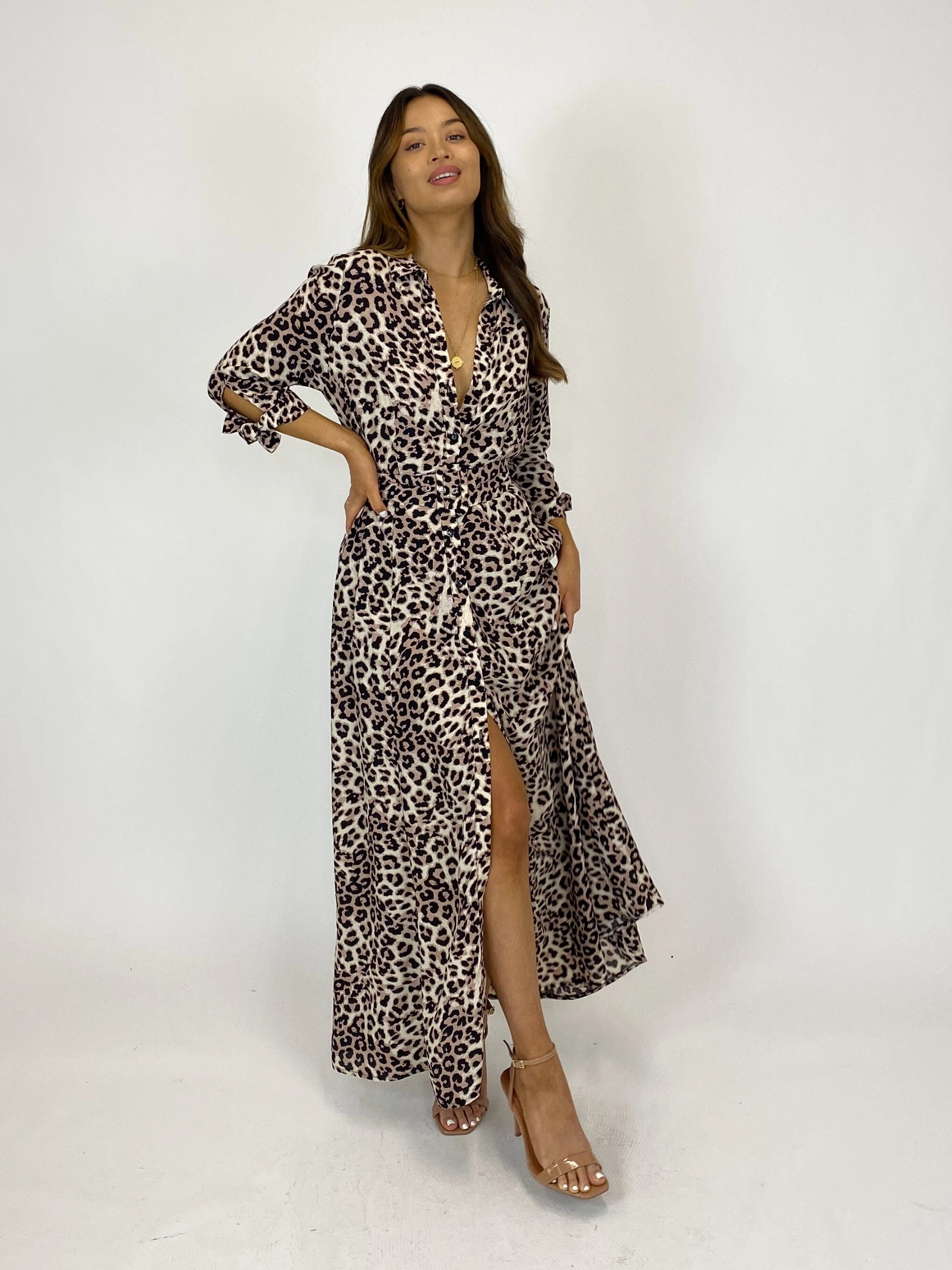 Modern Lines Stretch-Recovery Daphne Belted Shirt Dress / Neutral Animal Print