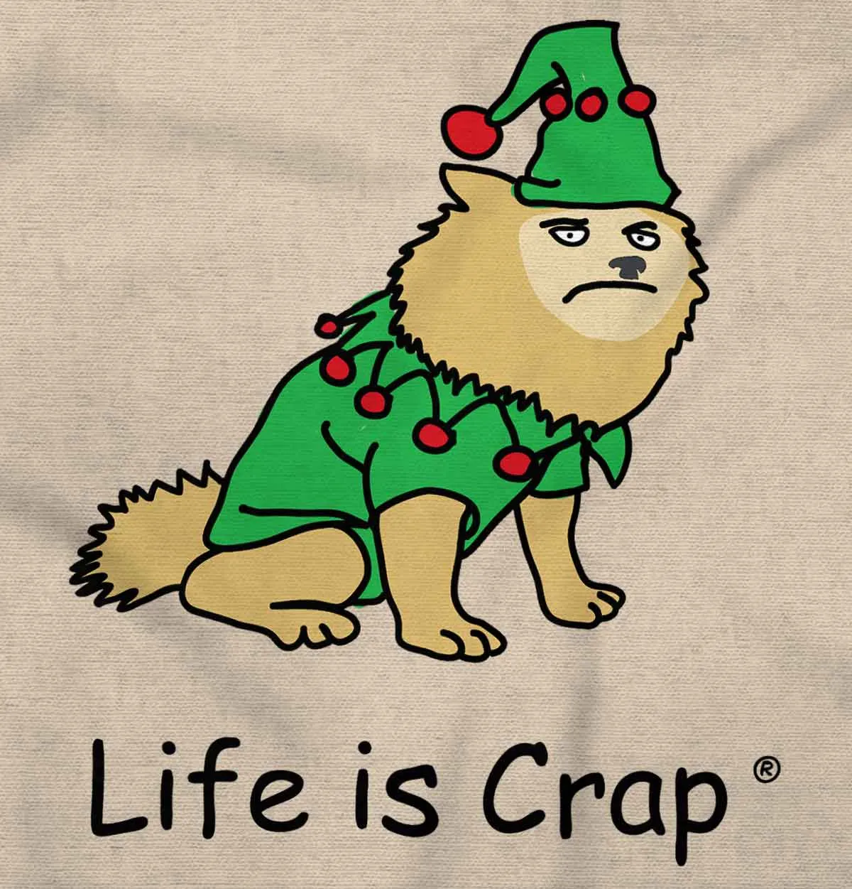 Dog Costume Hoodie