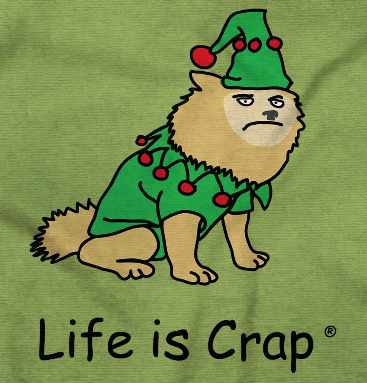 Dog Costume Hoodie