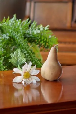 Dried 3 Inch Martin Gourd