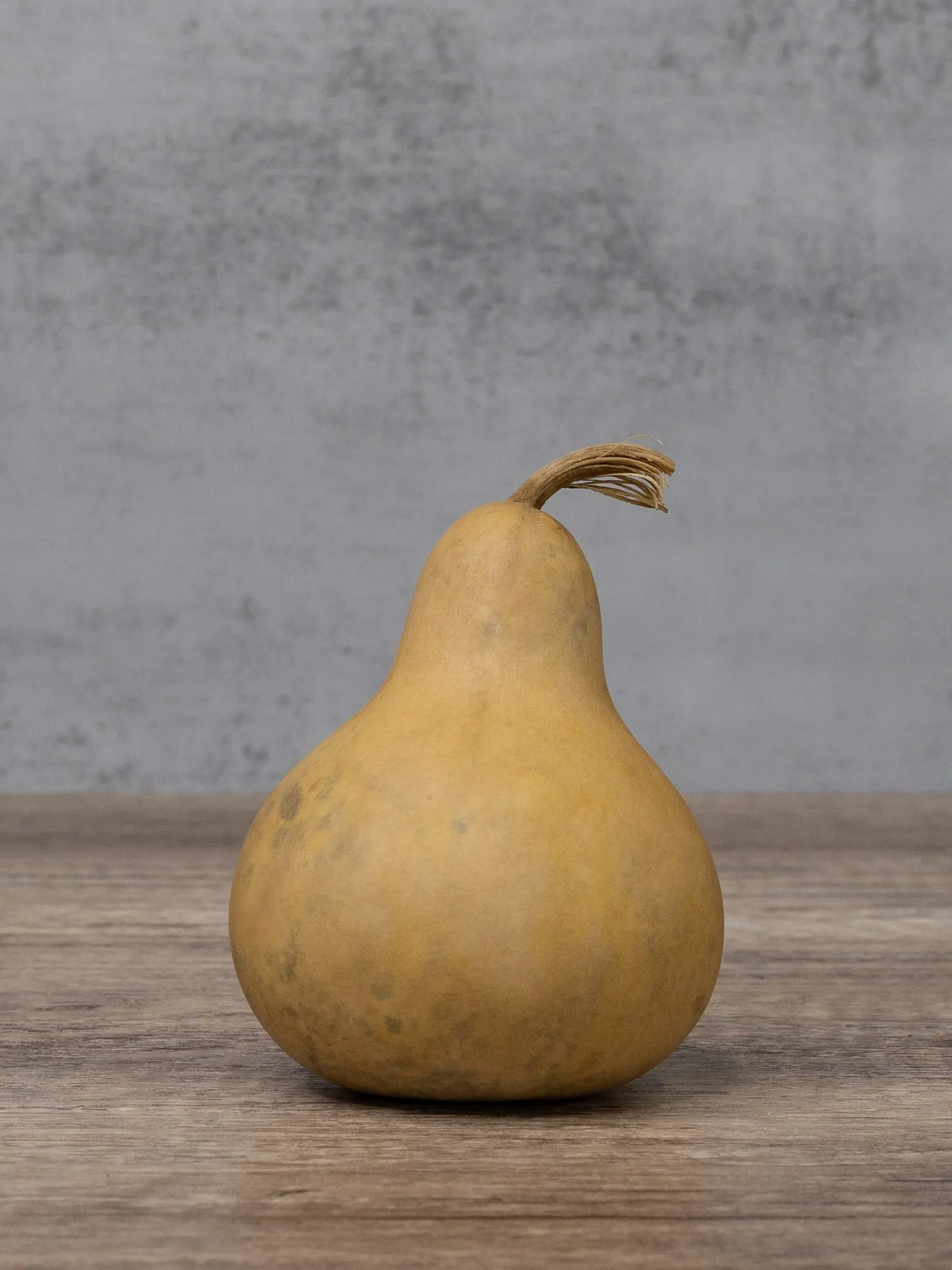 Dried 3 Inch Martin Gourd