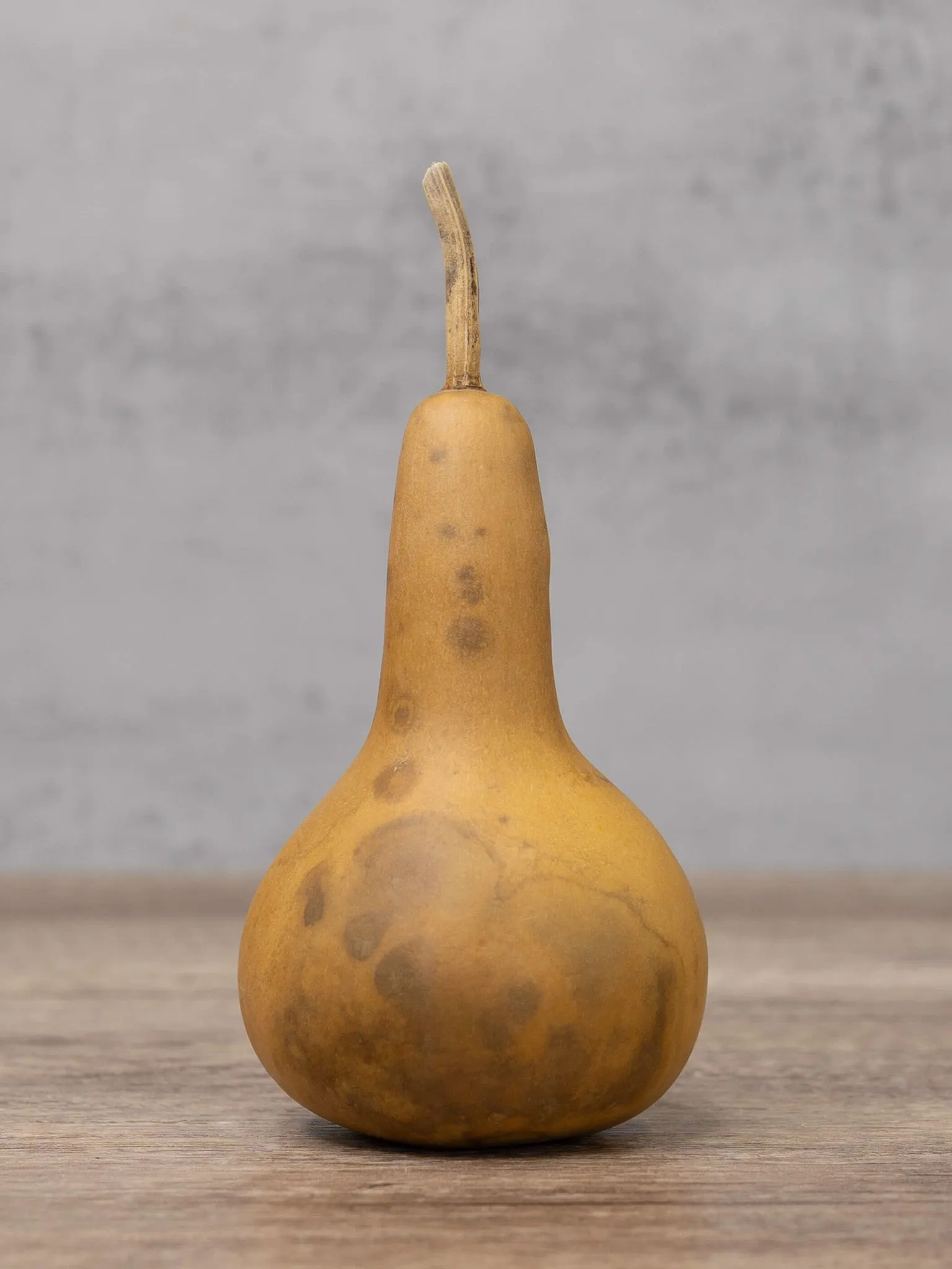 Dried 3 Inch Martin Gourd