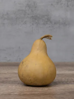 Dried 3 Inch Martin Gourd