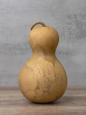 Dried 5 Inch Bottle Gourd