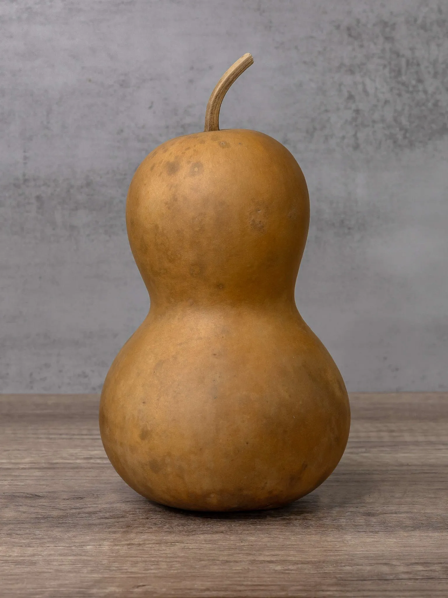 Dried 5 Inch Bottle Gourd