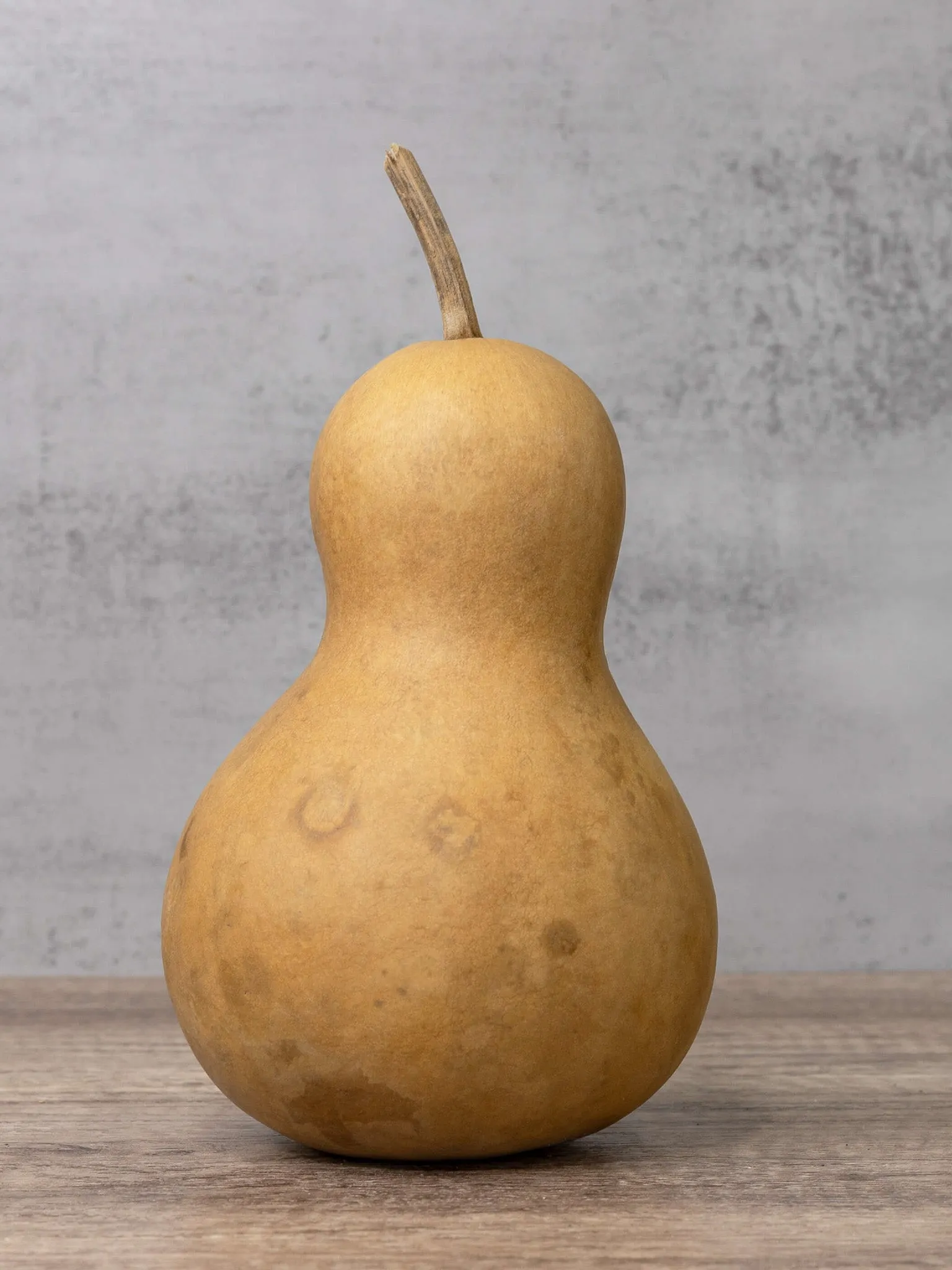 Dried 5 Inch Bottle Gourd