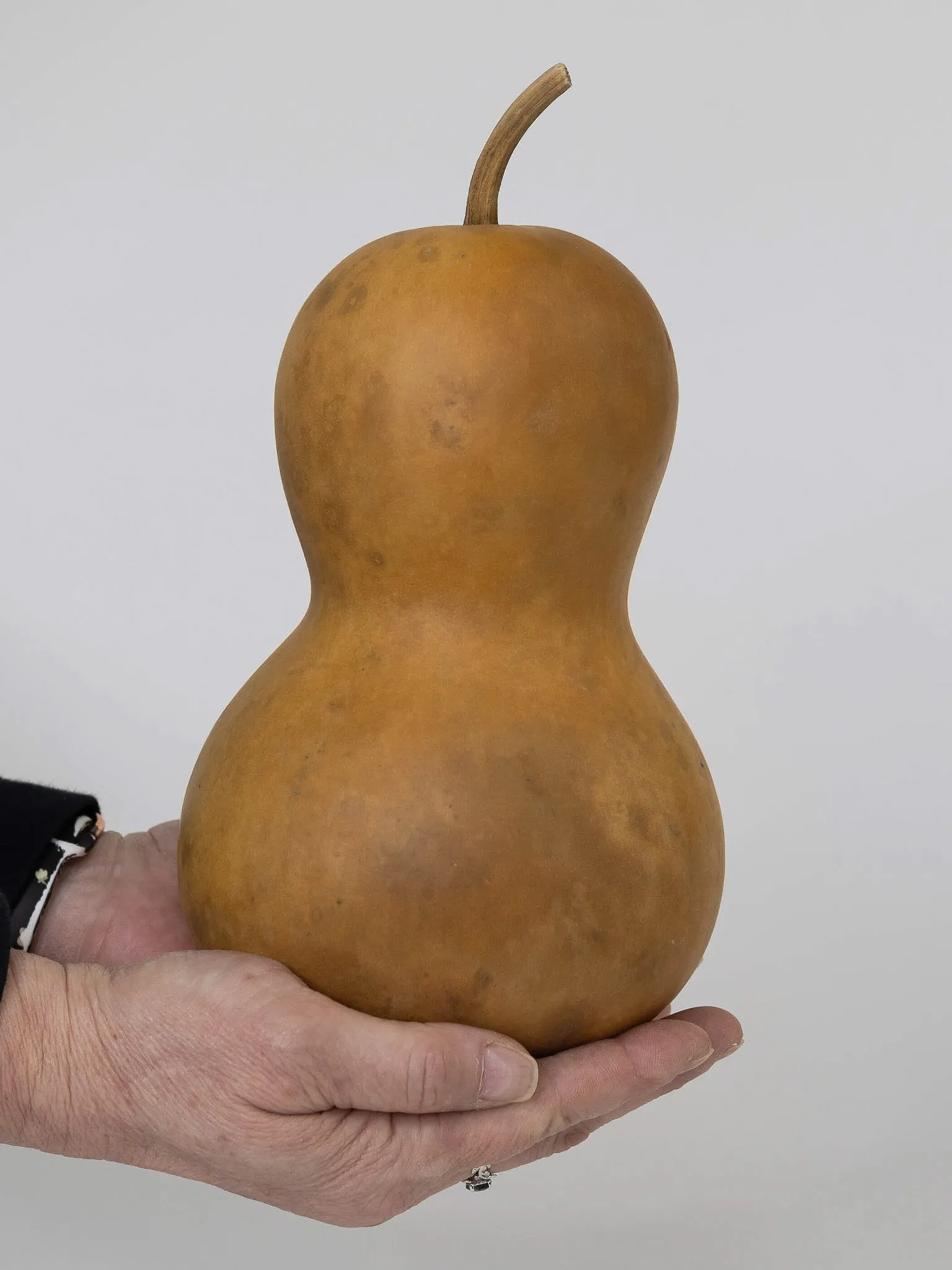 Dried 5 Inch Bottle Gourd