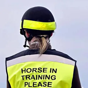Equisafety Reflective Hi Vis Riding Hat Bands