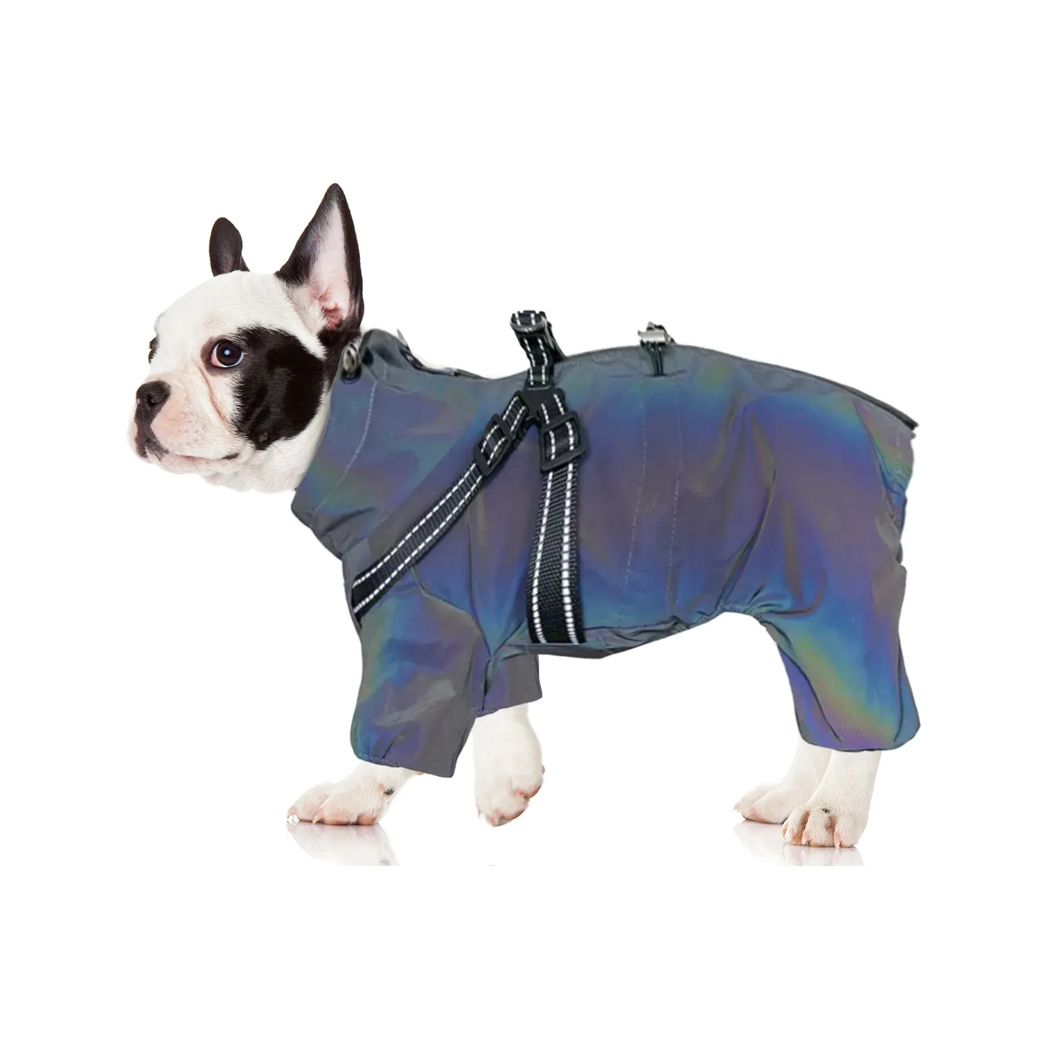 HydroHug Frenchie Raincoat with Built-in Harness Waterproof Reflective All-in-One Dog Jacket