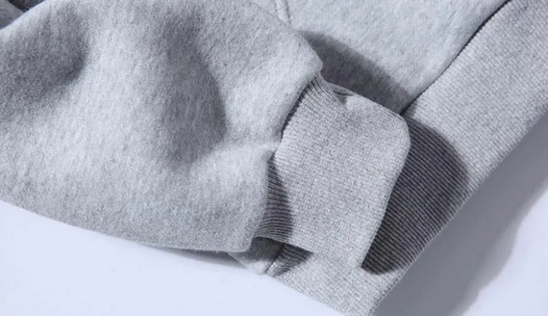 Men's Spring/Autumn Casual Hooded Sweatshirt With Owl Print