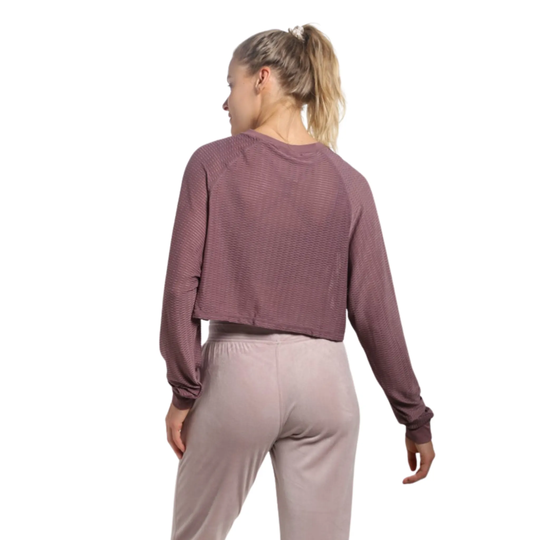 Mesh Raglan Cropped Top