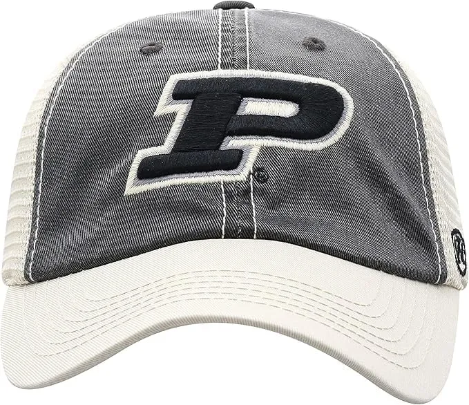 Michigan Collegiate Adjustable Hats