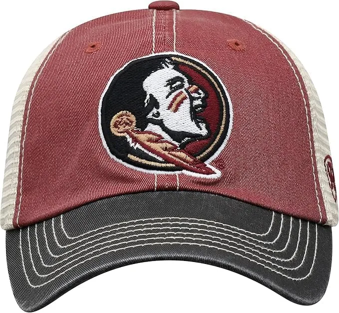 Michigan Collegiate Adjustable Hats