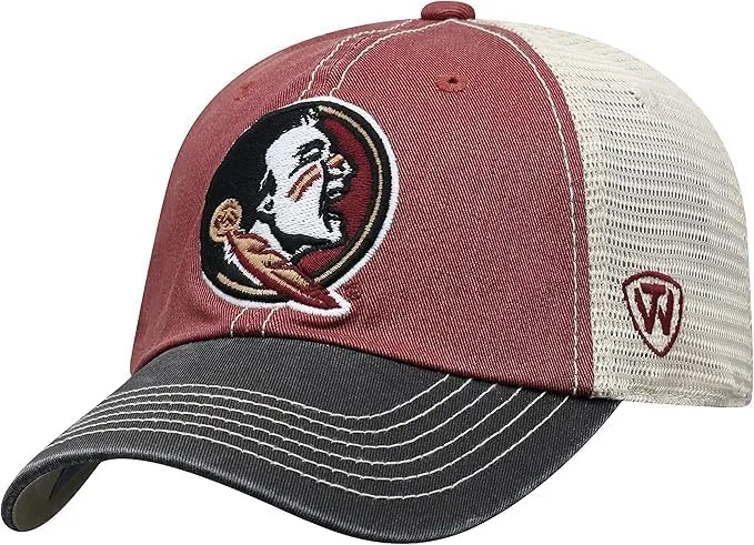 Michigan Collegiate Adjustable Hats