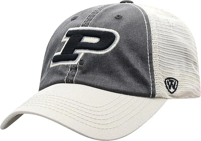 Michigan Collegiate Adjustable Hats
