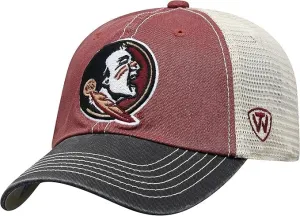 Michigan Collegiate Adjustable Hats