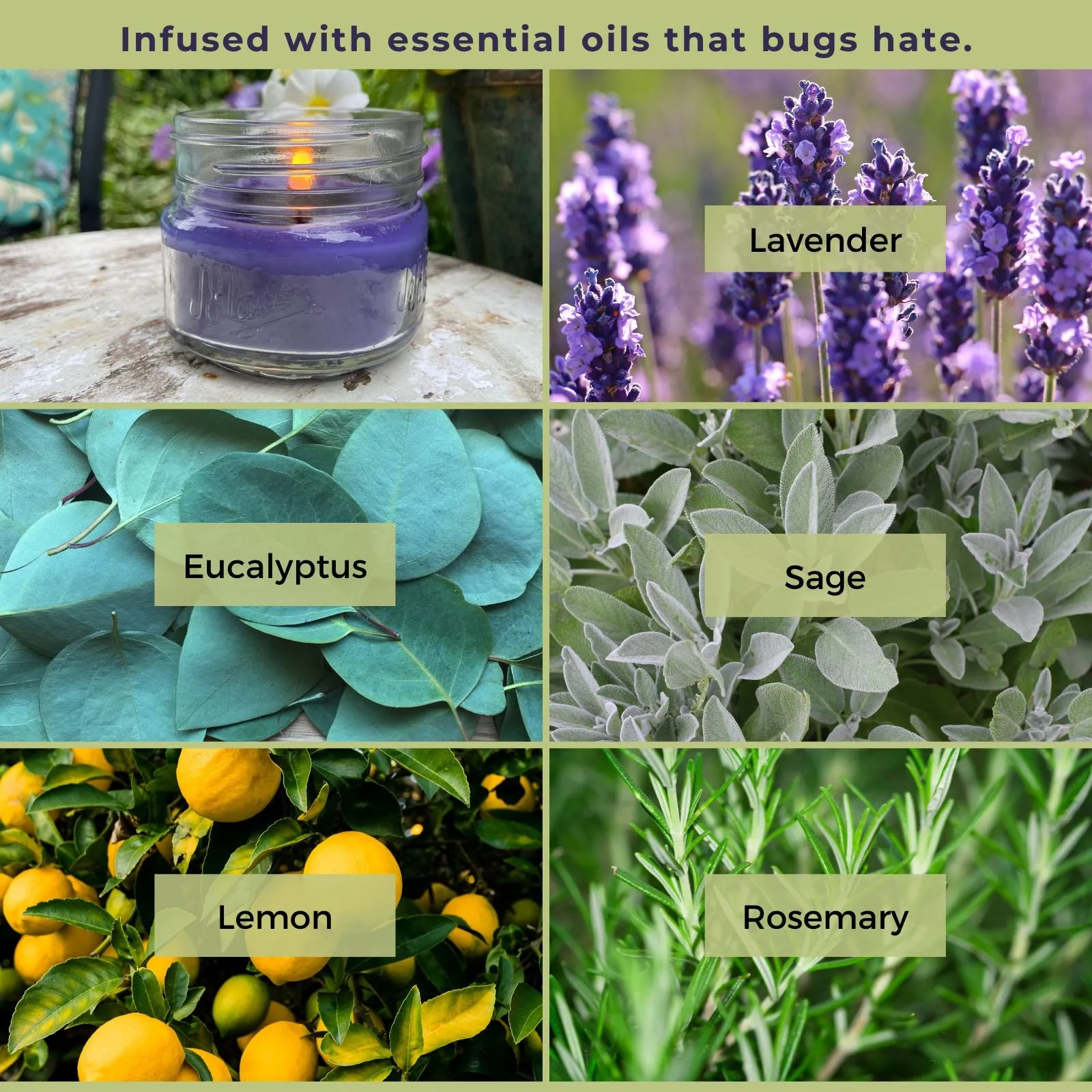 Mosquito Repellent Candle Natural Lavender | 3 Oz. Each, Set of 3 | Soy-Base, Infused with Essential Oils | Made in USA