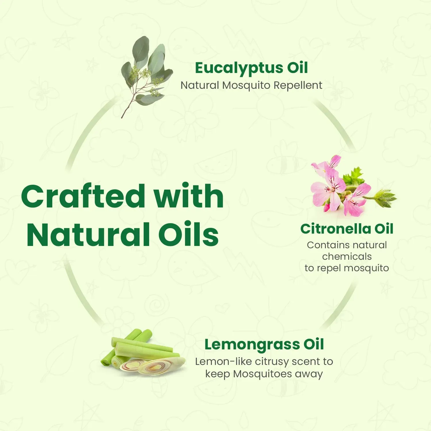 Natural Insect Repellent Spray