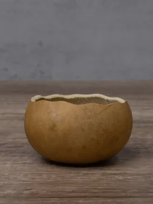 Raw 5 Inch Scalloped Cut Bowl