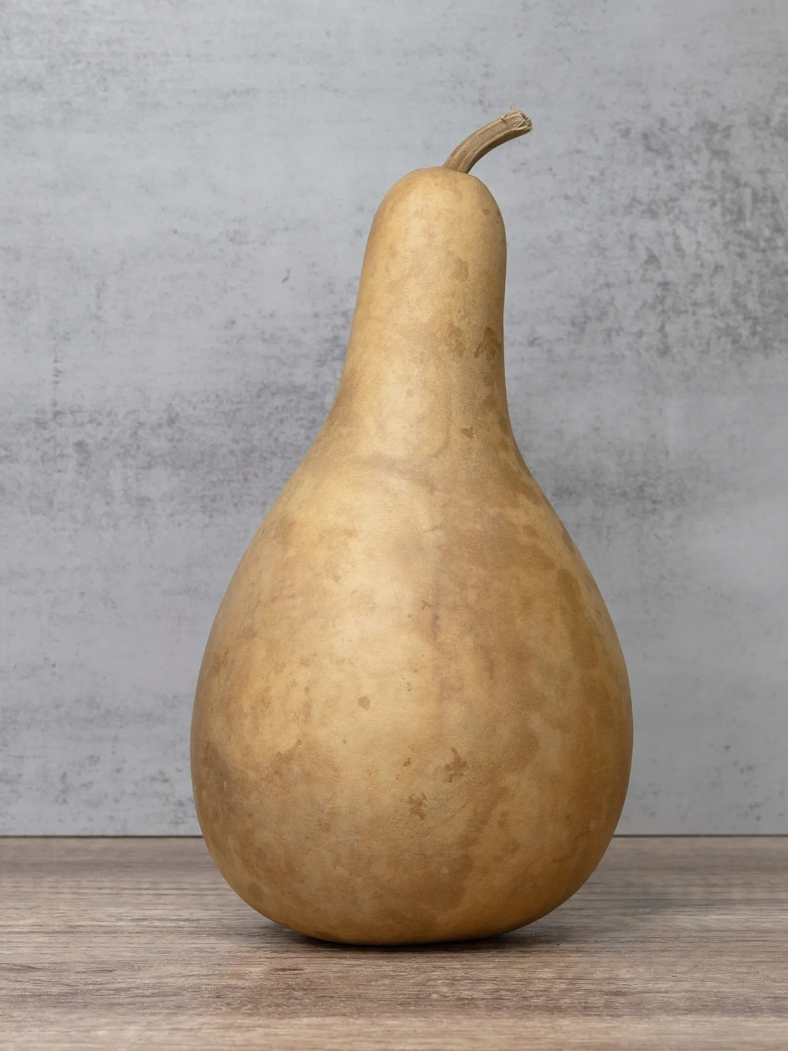 Raw 8-10 Inch Penguin