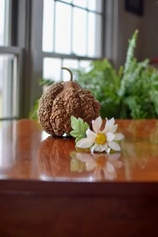 Raw Warty Gourd