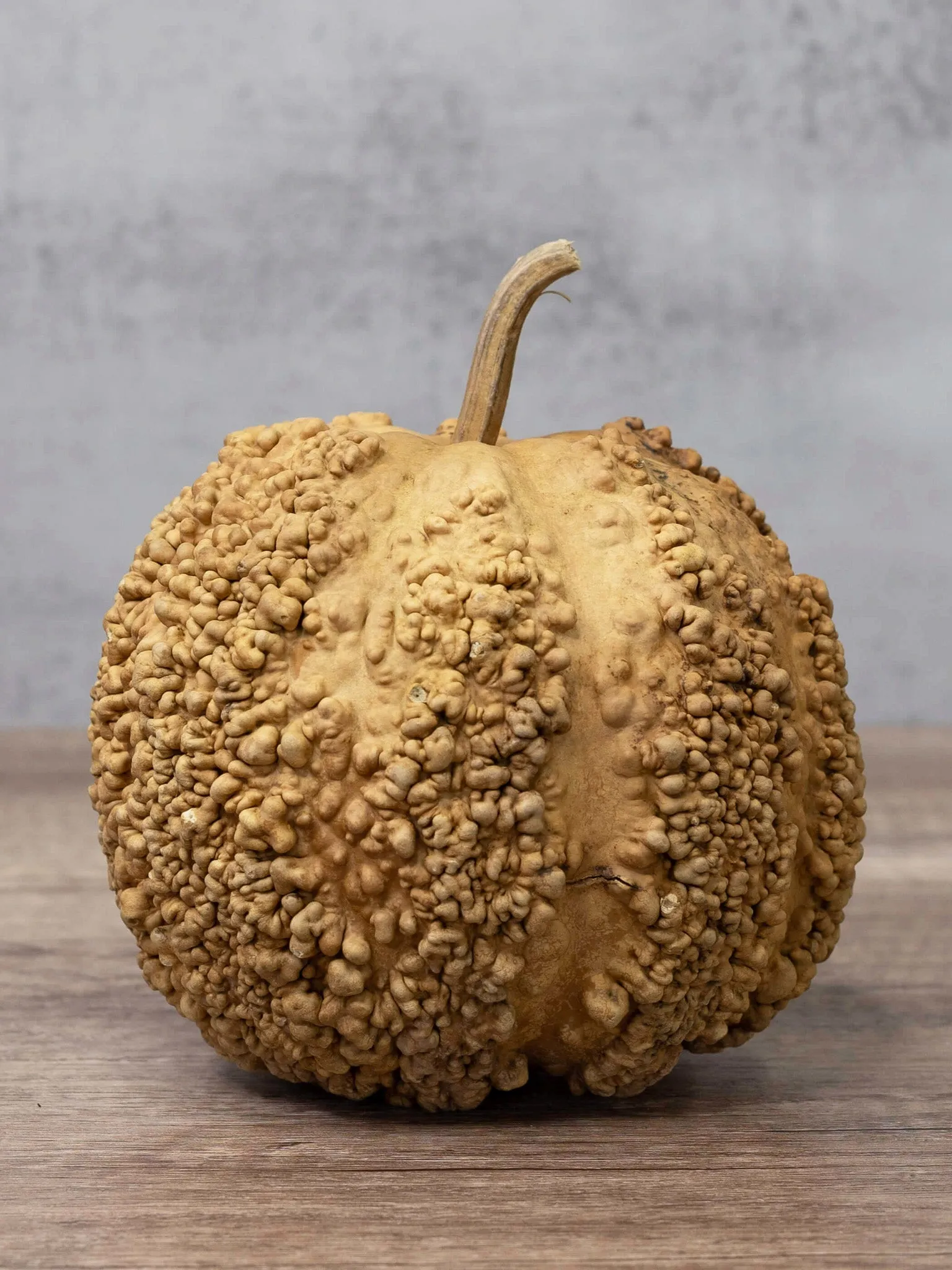 Raw Warty Gourd