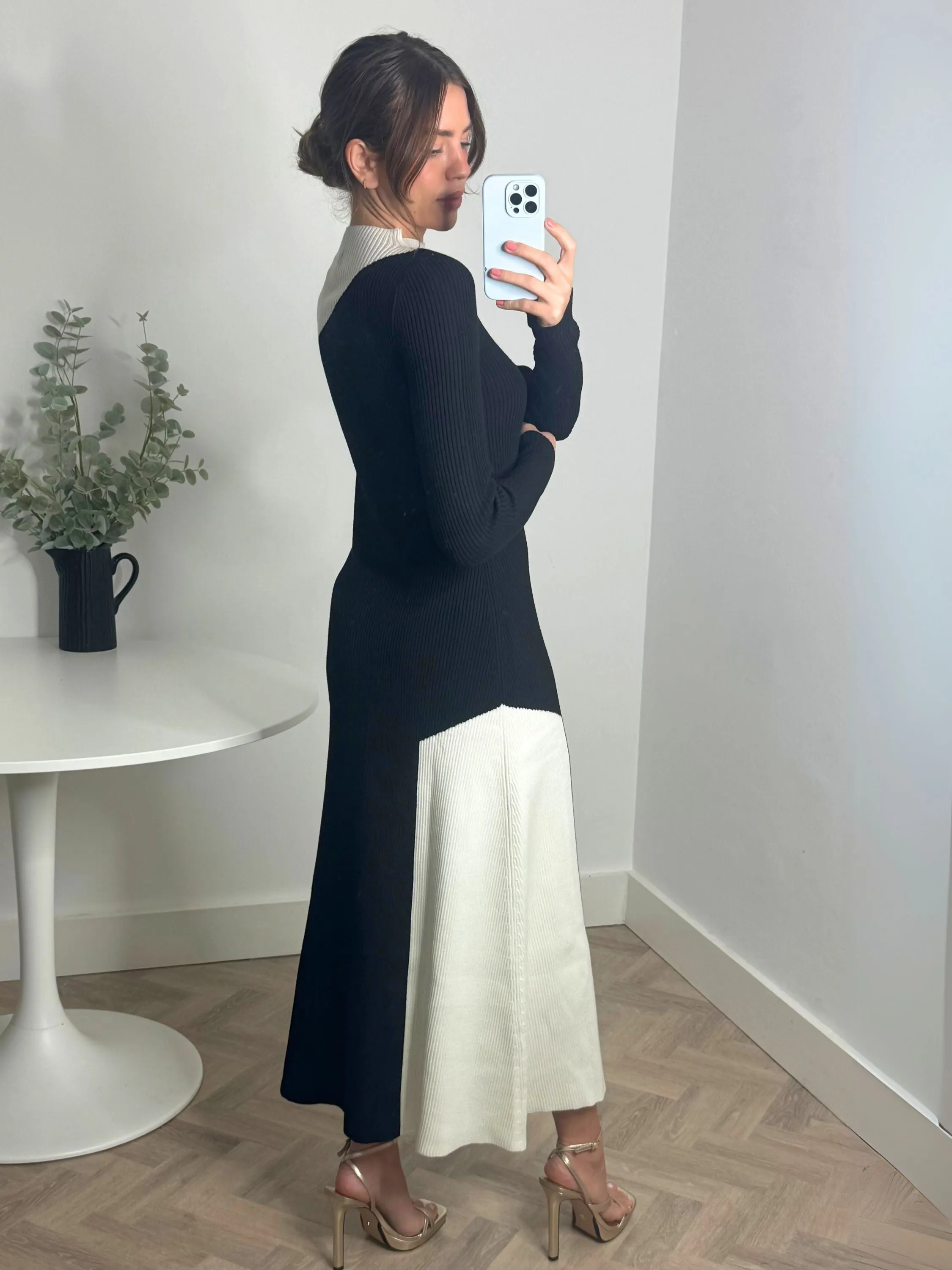 Tailored-fit Edita Knitted Colourblock Dress in Mono