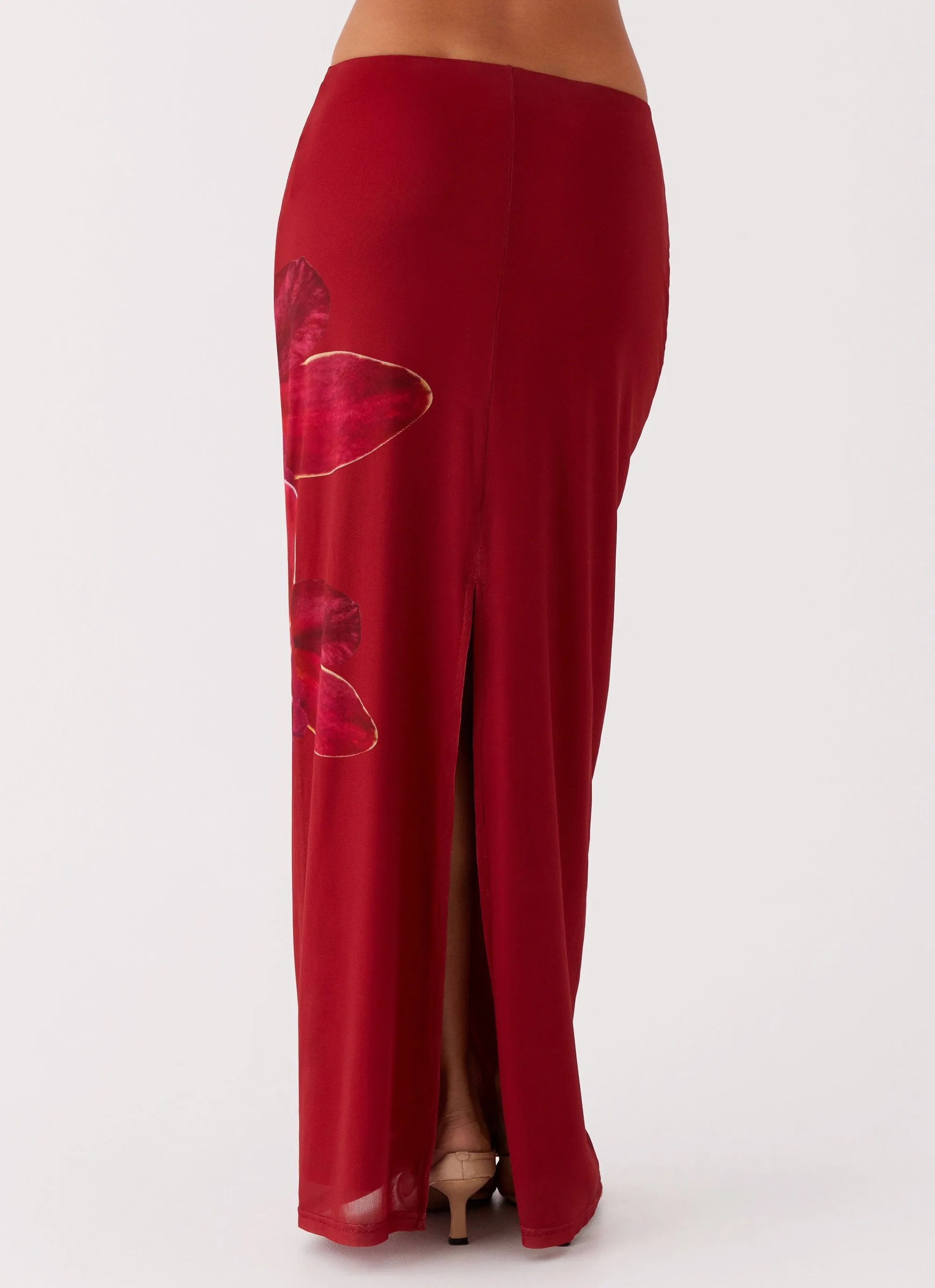 Waiting For Dawn Mesh Maxi Skirt - Rosa Creative Layering