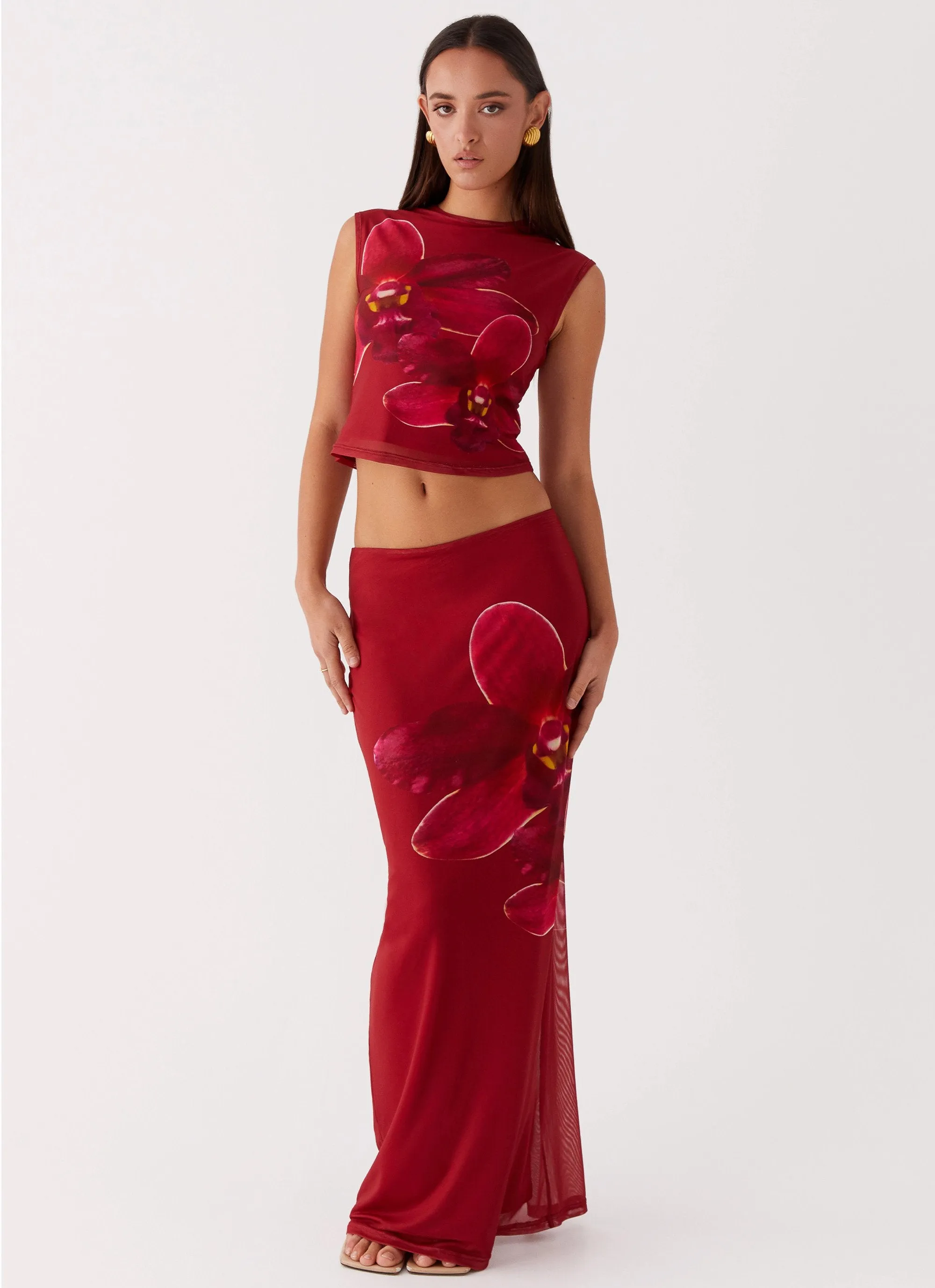 Waiting For Dawn Mesh Maxi Skirt - Rosa Contrast Stitching