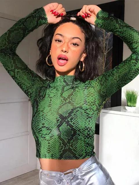 Women Mesh Long Sleeve Sheer Tops